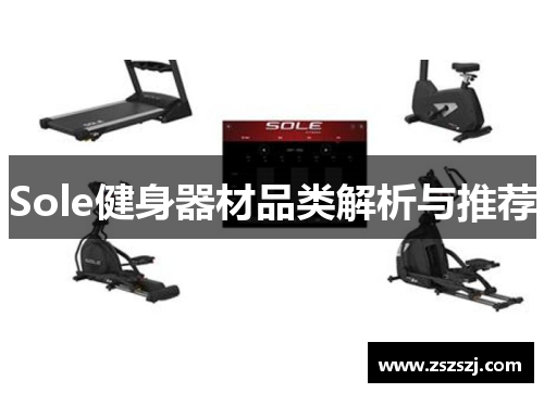 Sole健身器材品类解析与推荐