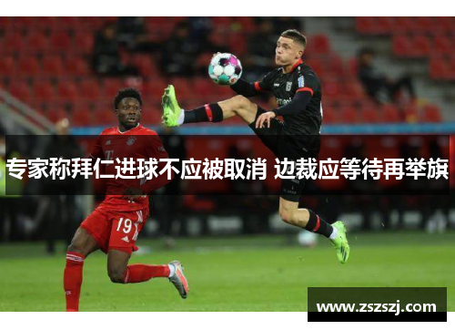 专家称拜仁进球不应被取消 边裁应等待再举旗